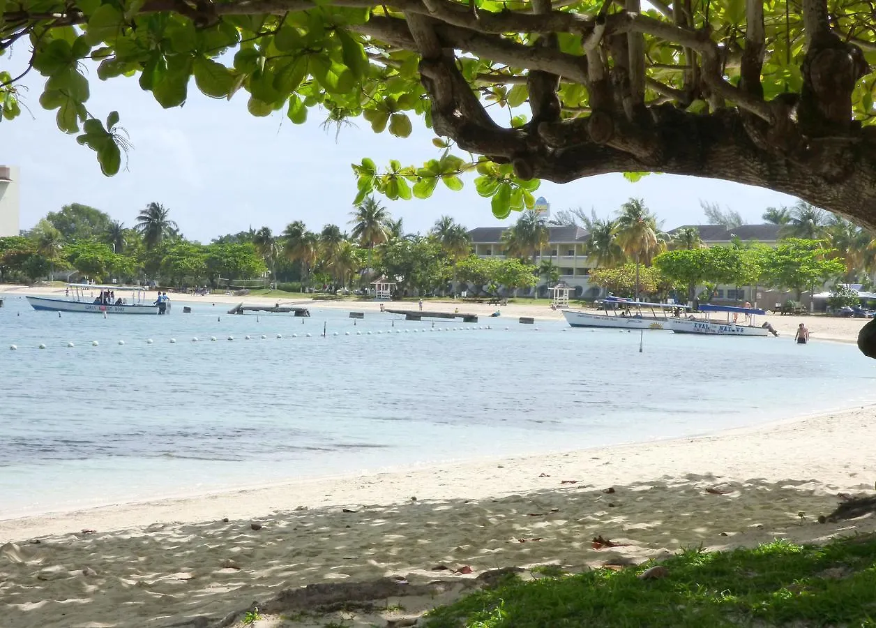 ** Aparthotel Beach One Bedroom Suite C15 Ocho Rios Jamaica